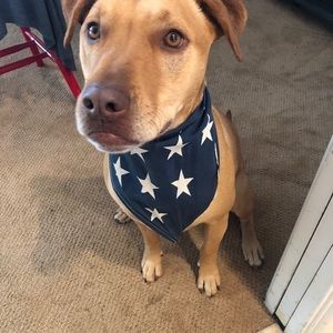 Meet your Posher, Peggy